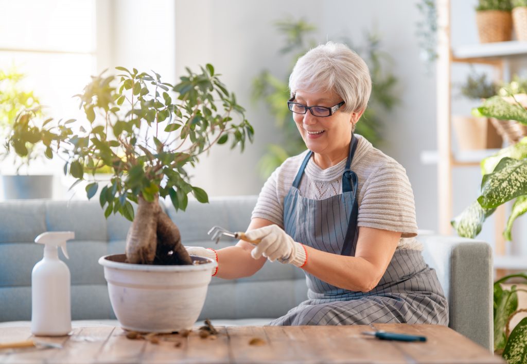 woman caring for plants KK4RRZF